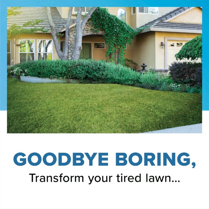 Front yard before becoming drought tolerant landscaping