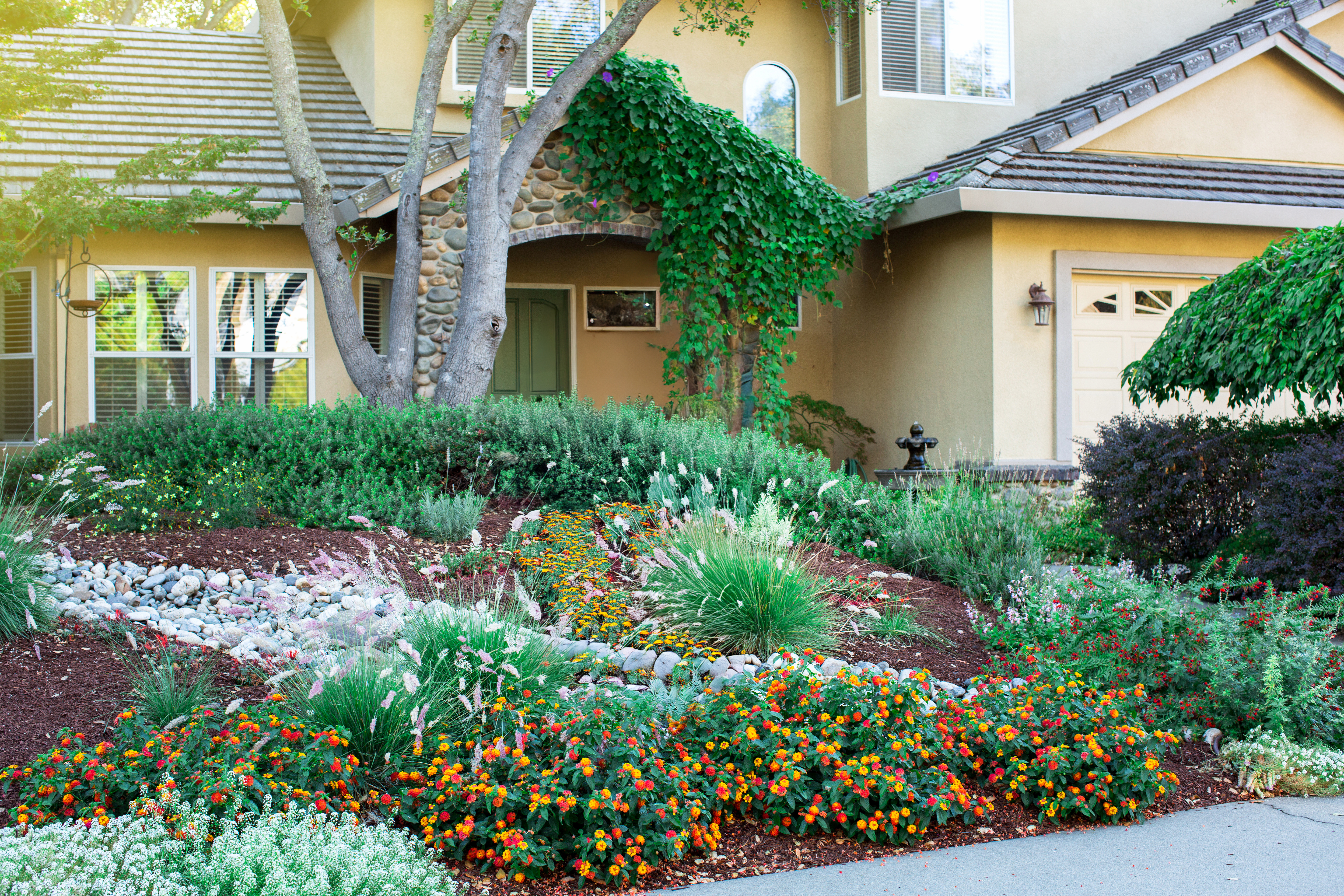 a house with a low water garden 