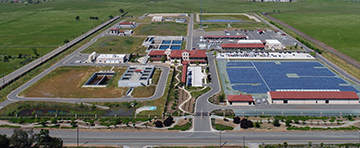 Vineyard Aerial Photo