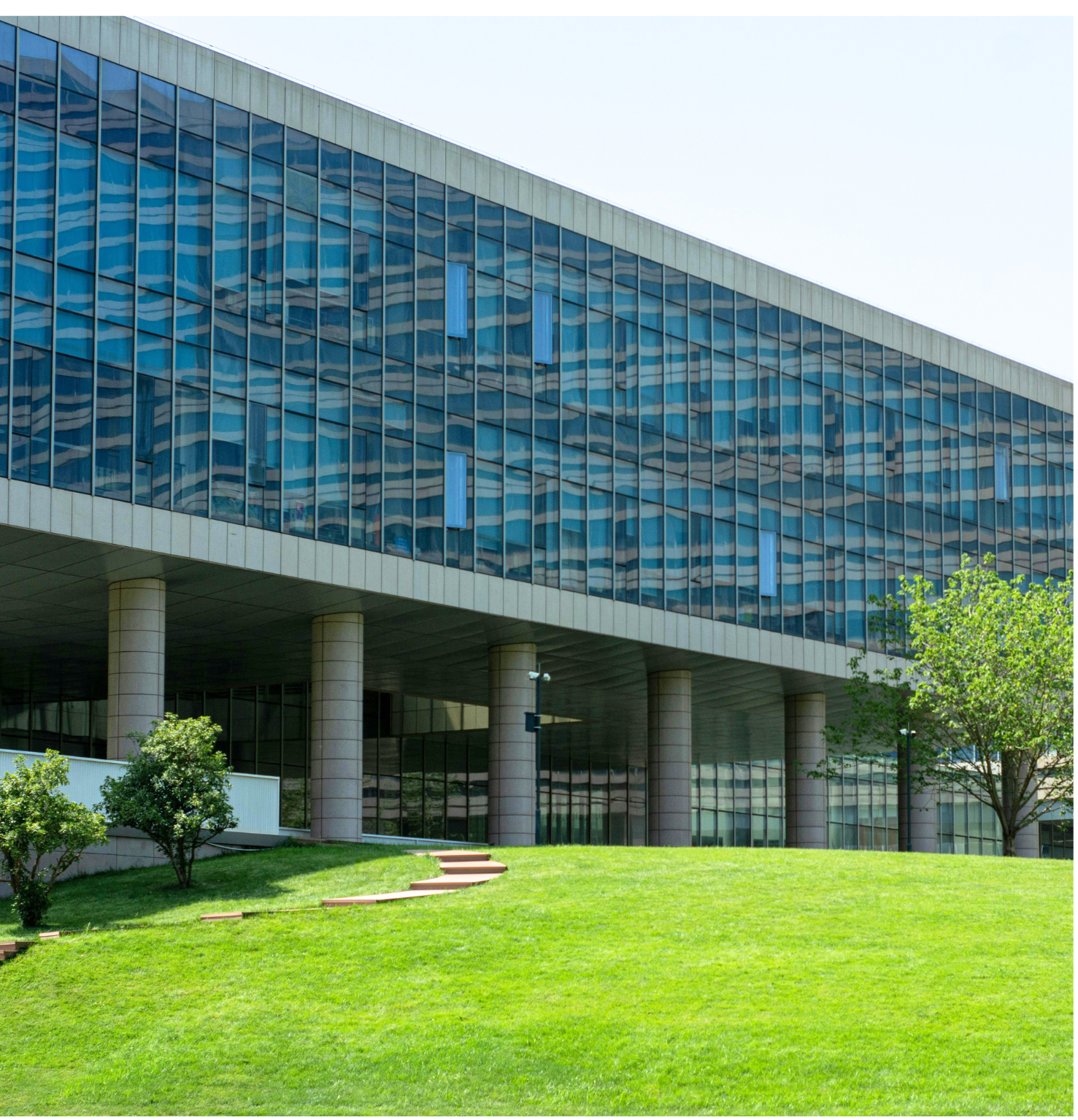 commercial building and landscape