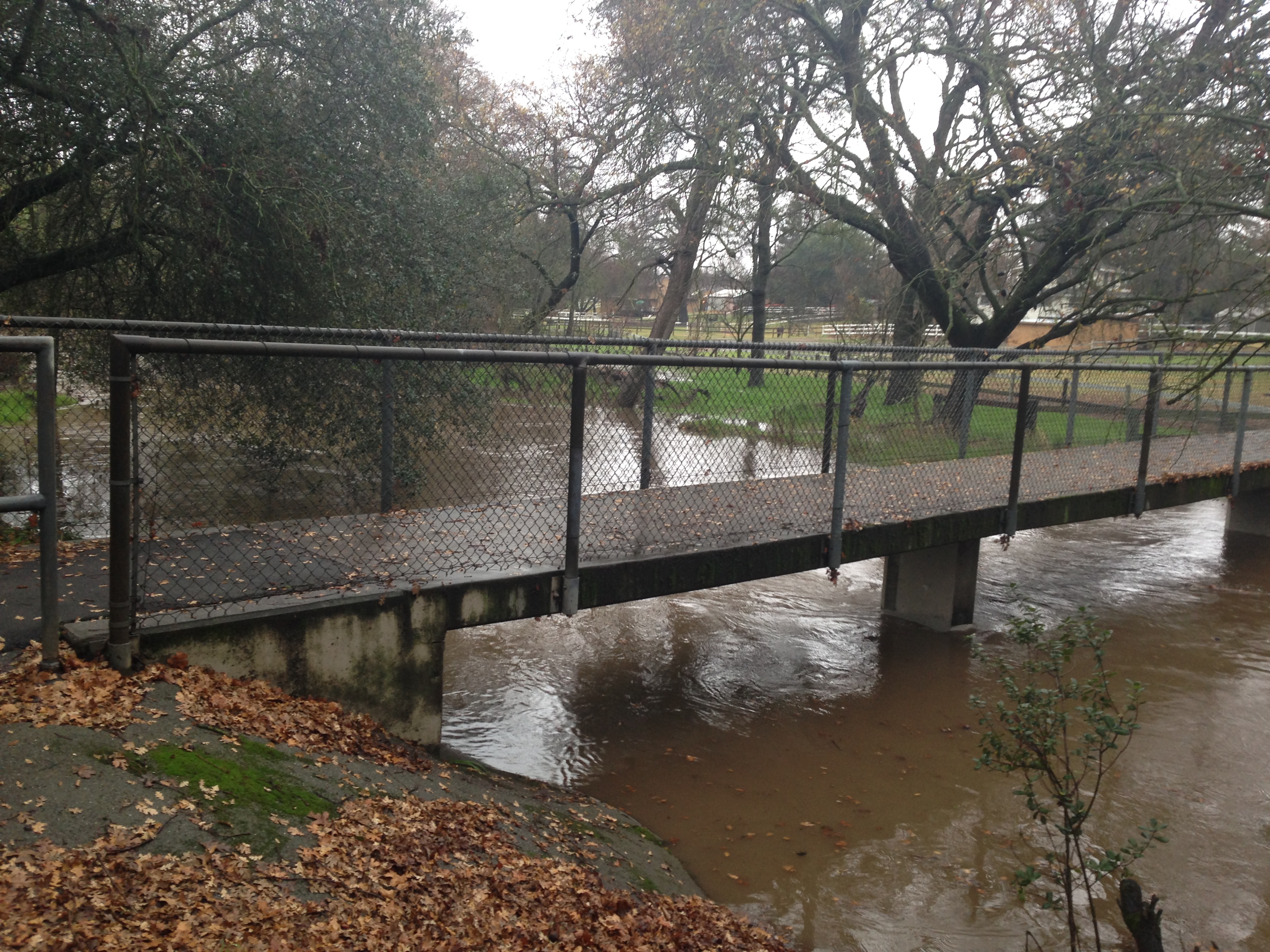Local flooding with a small bridge in a neighborhood