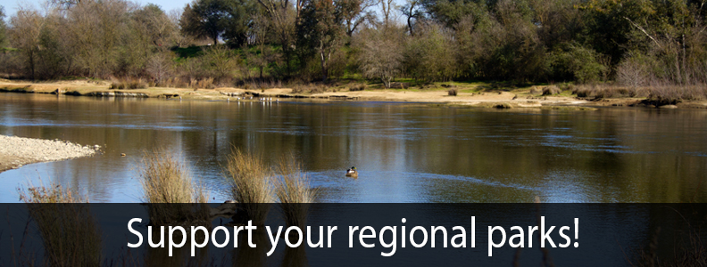 Support Your Local Regional Parks!