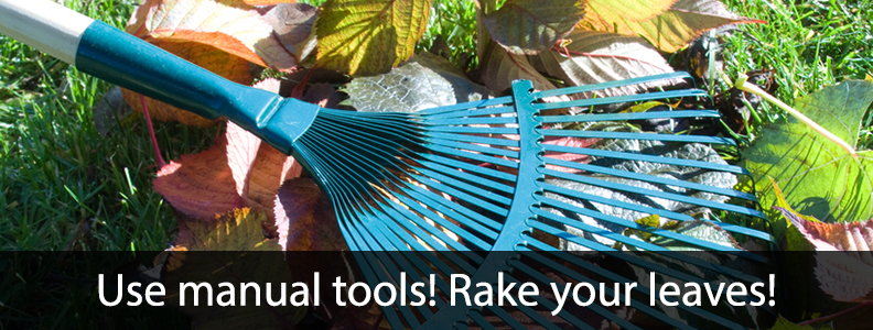 Use Manual Tools & Rake Your Leaves