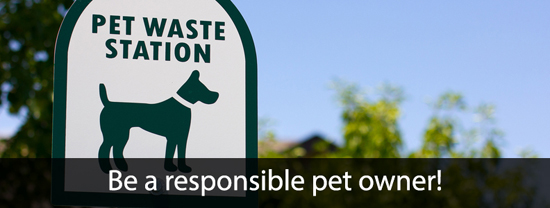 BE A RESPONSIBLE PET OWNER